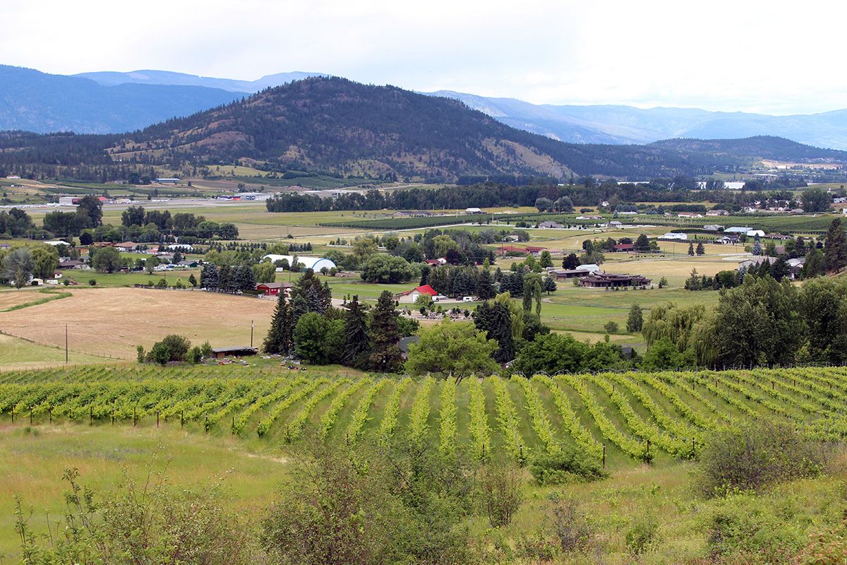 Ellison Vrecko Real Estate Group