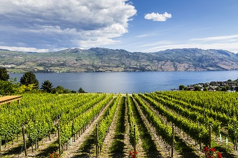 view of Lake Okanagan from winery