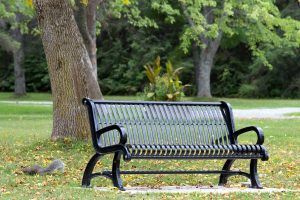 park bench in a park