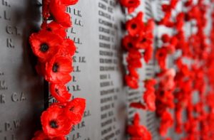 Wall of names of veterans with poppy all over it 