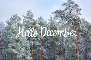 forest with the words "hello December" written In the sky