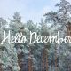 forest with the words "hello December" written In the sky