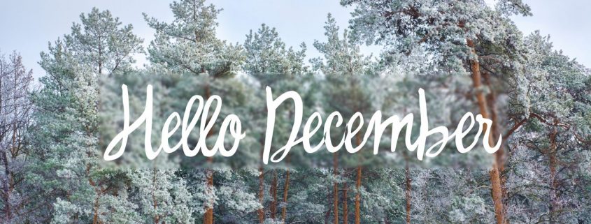 forest with the words "hello December" written In the sky
