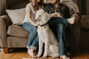 family sitting with dogs in Kelowna home