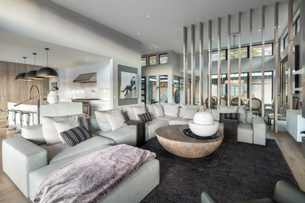 110 Red Sky Court - luxury living room - QVA