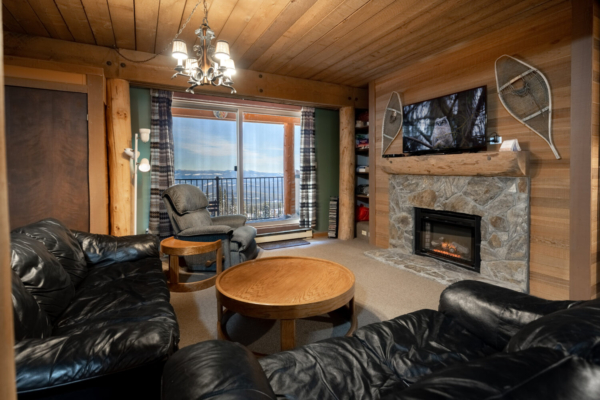 Cozy cabin style living room QVA