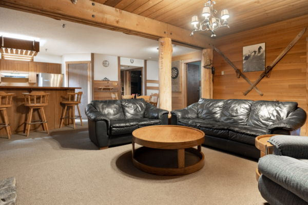 Cozy cabin style living room QVA