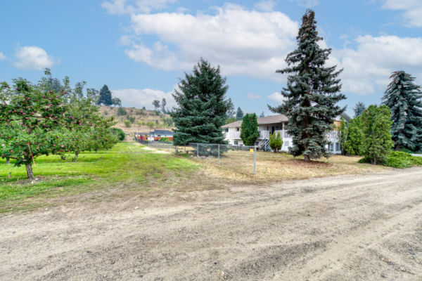 2970 McCulloch-lot view